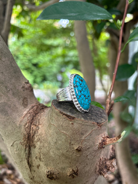 Turquoise Ring